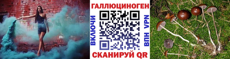 где продают наркотики  Сибай  Галлюциногенные грибы Psilocybine cubensis 
